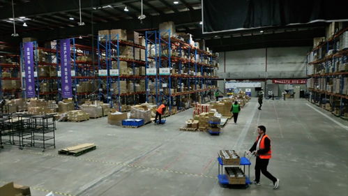 強信心 開新局 跨境電商加速跑，直擊上海港進出口商品中轉倉的技術進出口新篇