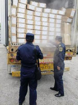 中國對俄出口冷凍雞胸肉經綏芬河口岸首發，區域經貿合作邁上新臺階